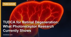 TUDCA for Retinal Degeneration: What Photoreceptor Research Currently Shows